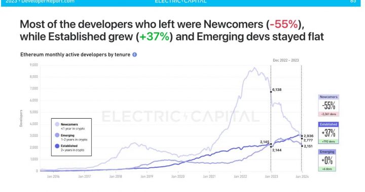 Electric Capital：未来是多链的，不要忽视加密社交和NFT的影响力