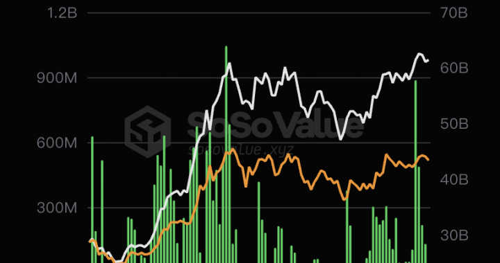 比特币现货ETF过去19日净流入后首次净流出，累计净流入达156.21亿美元