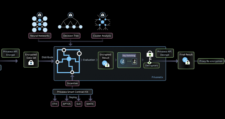 MT Capital 研报：Privasea，将全同态加密引入Mass Adoption