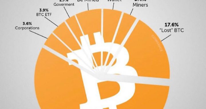 2100万枚比特币中已丢失占比达17.6%，个人持有占比达57%