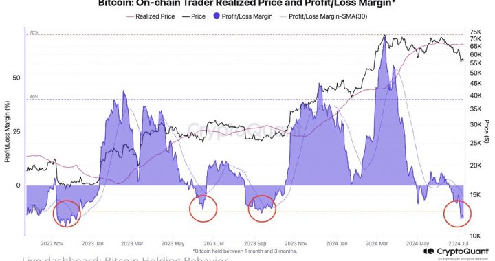 比特币链上交易者亏损率达-17%，系FTX崩溃以来最低水平