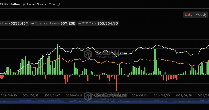 比特币现货ETF上周（7月29日至8月2日）单周净流出8069万美金，灰度ETF GBTC周净流出2.45亿美元